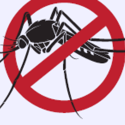 Atenção aos focos da dengue