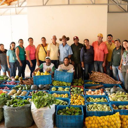 Produtores rurais assistidos pelo Programa Germinação entregam mais de 2 mil quilos de alimentos agroecológicos em Pindaí