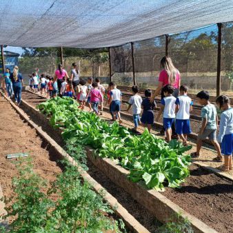 BAMIN amplia ações de segurança alimentar e nutricional nas comunidades com foco em educação ambiental