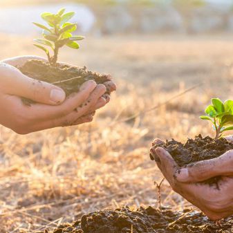Mudanças climáticas e restauração da terra. E eu com isso?