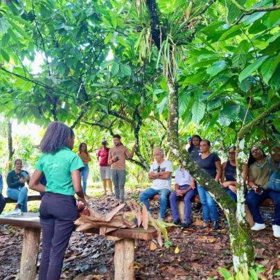 BAMIN leva empreendedores e produtores rurais de Ilhéus para conhecer fábrica da Mendoá Chocolates, na Fazenda Riachuelo
