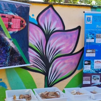 BAMIN promove Ação de Cultura Oceânica na Escola Municipal de Juerana, em Ilhéus