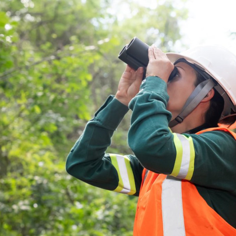 BAMIN inicia nova campanha de monitoramento de fauna na Mina Pedra de Ferro