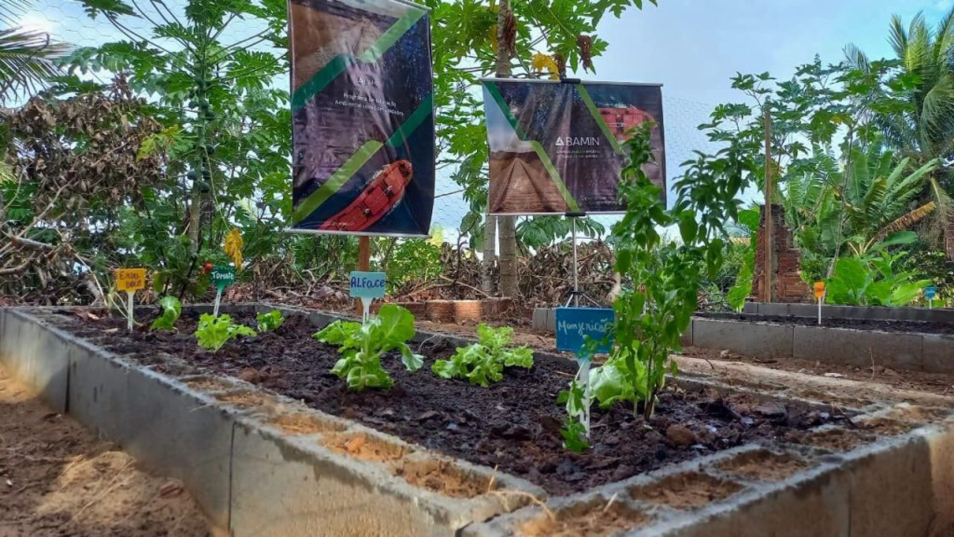 BAMIN promove “Horta nas Escolas” em comunidade Tupinambá de Olivença