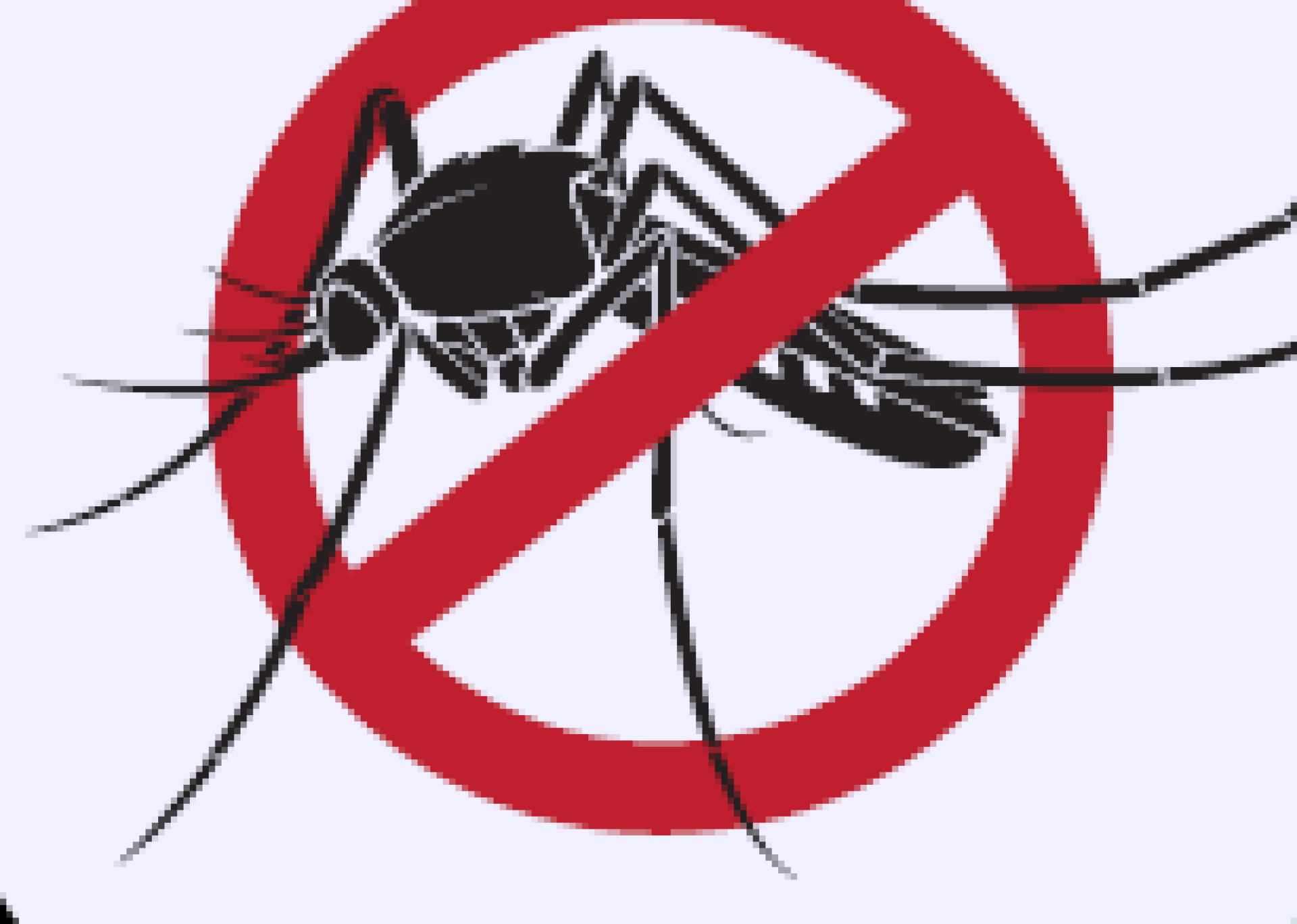 Atenção aos focos da dengue