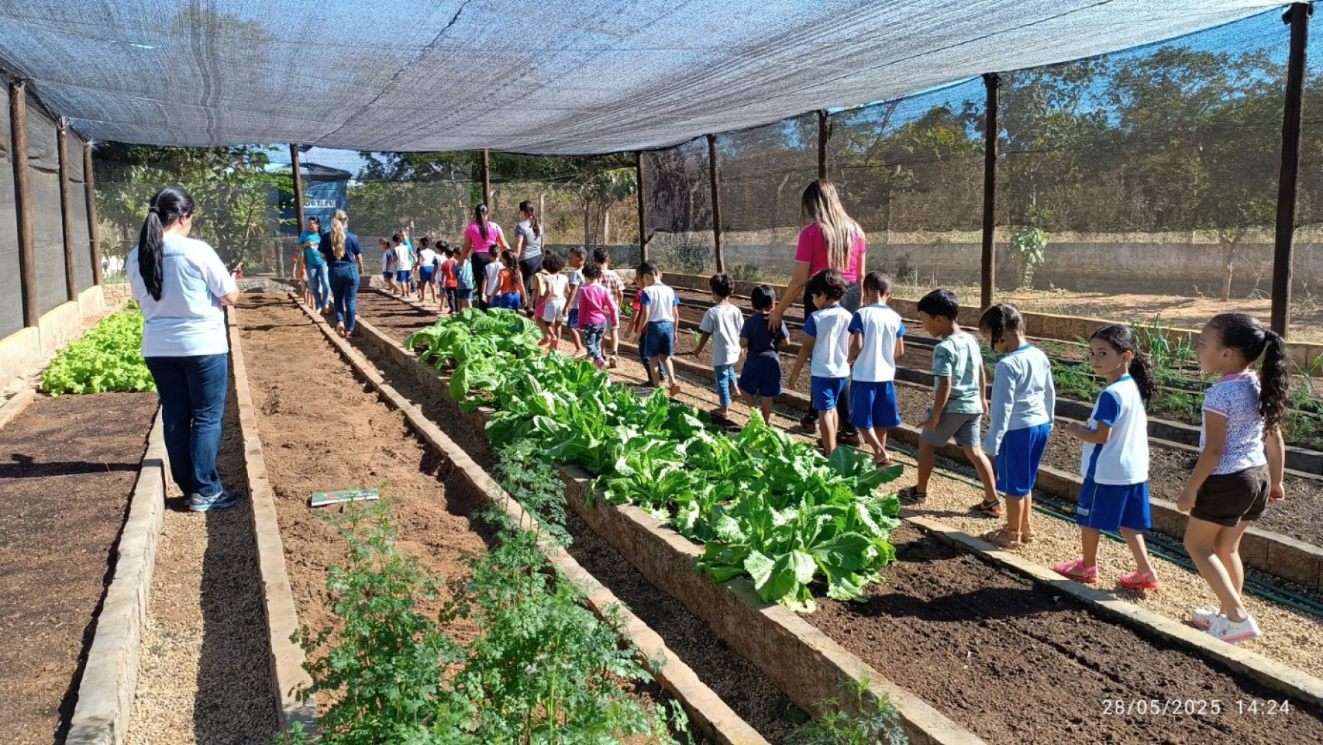 BAMIN amplia ações de segurança alimentar e nutricional nas comunidades com foco em educação ambiental