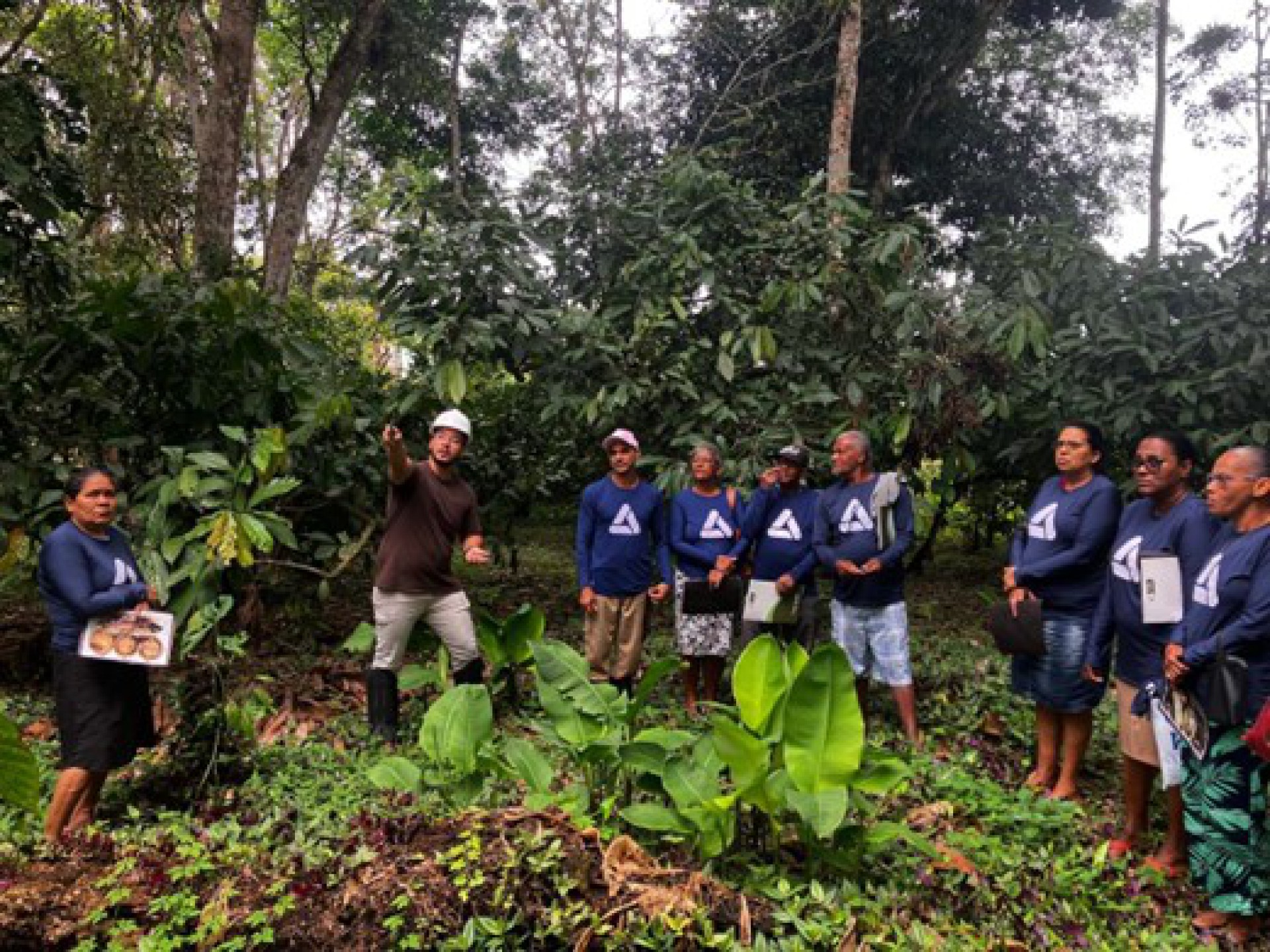 Produtores do Assentamento Frei Vantuy recebem capacitação sobre manejo sustentável do cacau