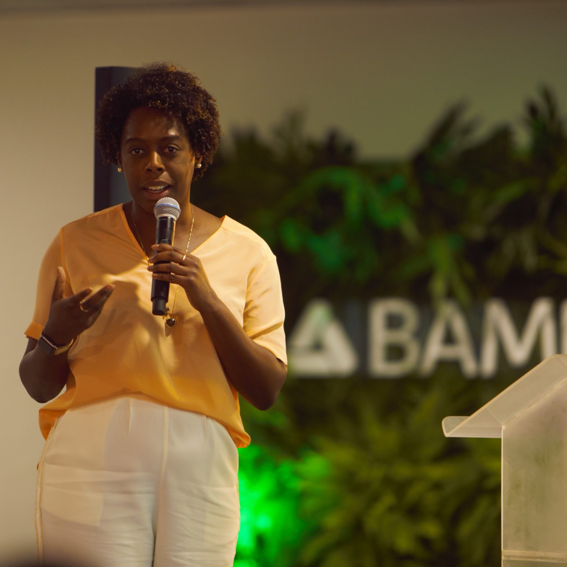 BAMIN lança Plataforma ESG e anuncia assinatura do Pacto Global da ONU