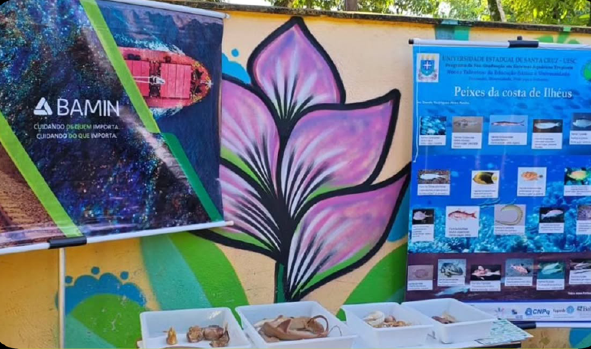 BAMIN promove Ação de Cultura Oceânica na Escola Municipal de Juerana, em Ilhéus