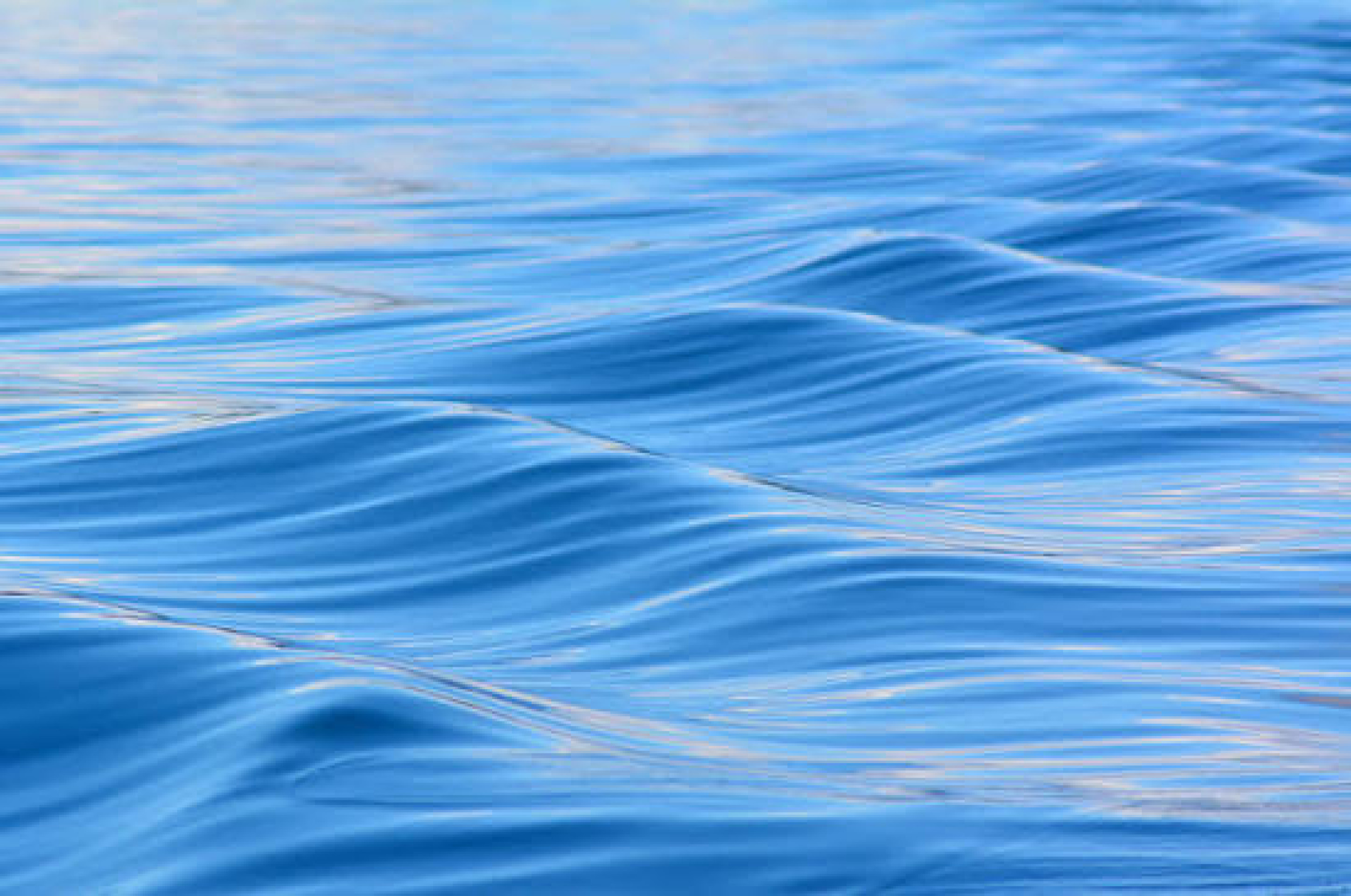 World Water Day warns of the importance of this natural resource