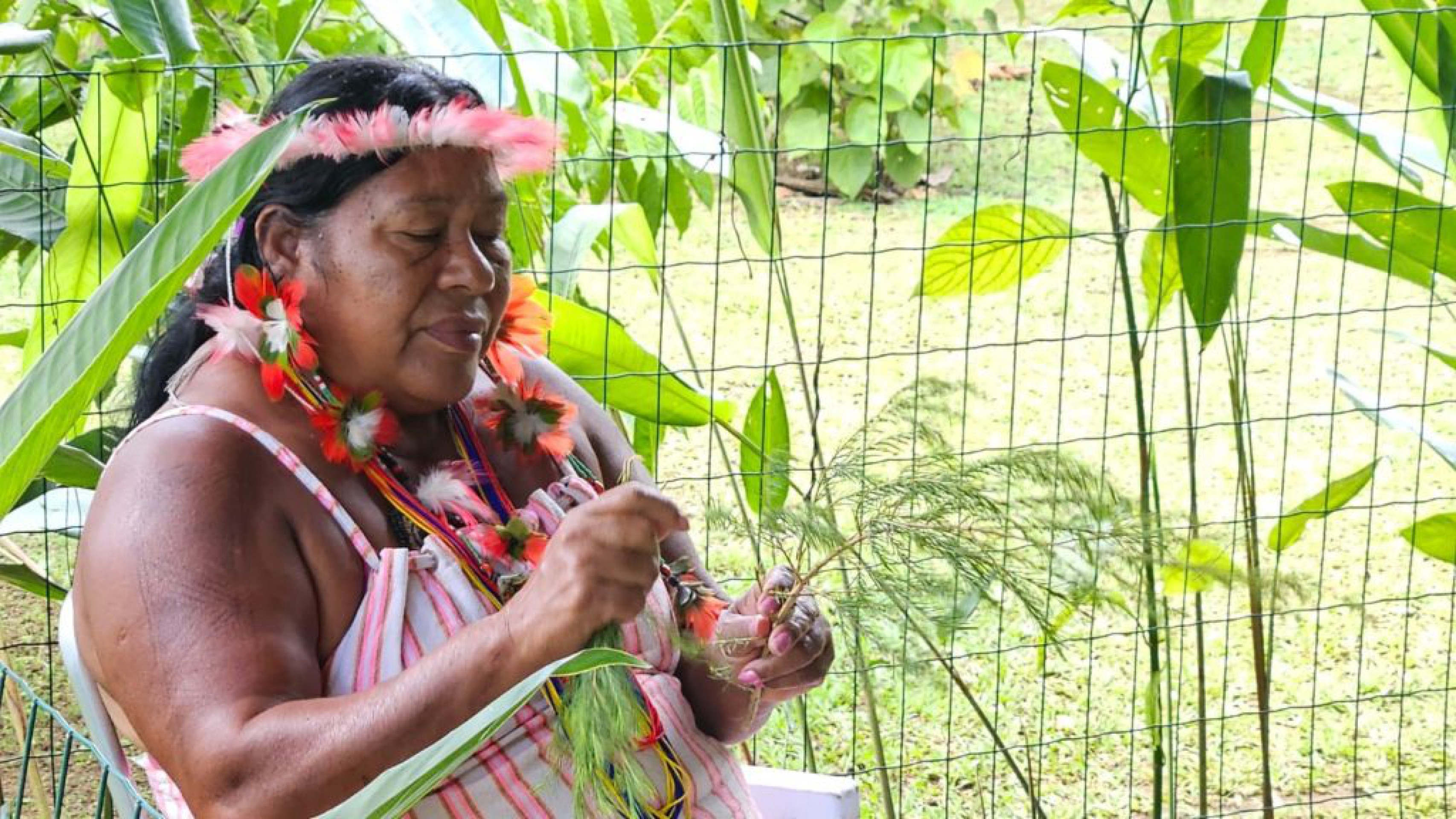 BAMIN promove oficina sobre uso de plantas medicinais com povos originários